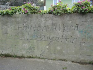 “The phaeton is a cruelty to horses”