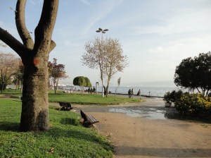 DSC01739