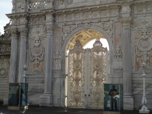 DSC01753