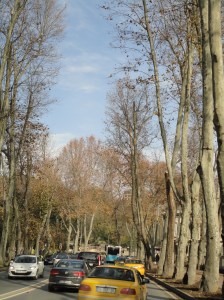 DSC01756