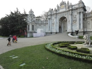 DSC01775