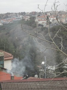 Seen from above against a hillside of trees (with houses above them), a chimney on the other side of a corrugated roof belches gray smoke