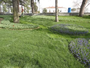 Emirgan Korusu, 2016.03.12