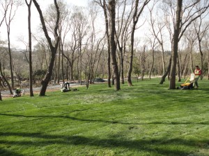 Emirgan Korusu, 2016.03.12