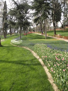 Emirgan Korusu, 2016.03.12
