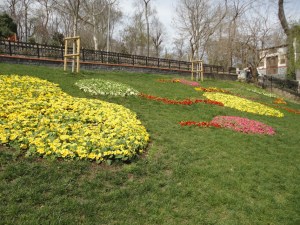 Emirgan Parkı, 2016.03.12