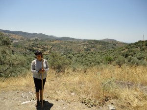 July 9, 2016; Nesin Mathematics Village in background to the right