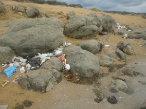 Trash by the Black Sea, Riva, Beykoz, 2016.08.13