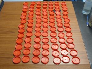 The same bottlecaps, now seen from another side as thirteen rows, seven columns