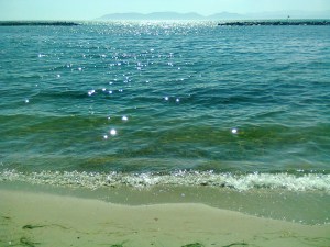 Sea sparkling in the sun