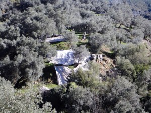 Şirince, January, 2018