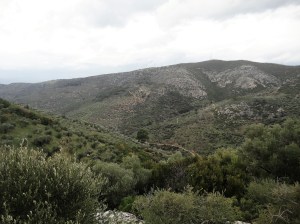 Landscape, green hills, Şirince, January, 2018