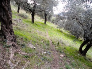 Şirince, January, 2018