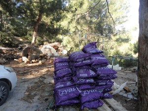 Purple sacks of coal beneath pine trees, Şirince, January, 2018