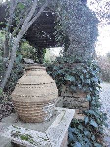 Large clay pot against dark vines