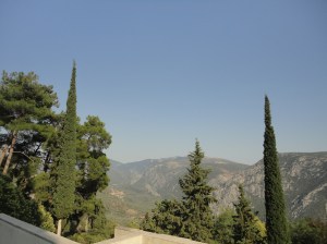 Mountain viewed beyond narrow cypress and other trees