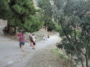 Tourists on path beneath trees
