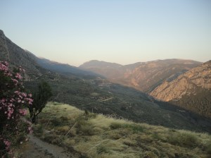 Mountain valley in setting sun; bush of pink flowers in left foreground