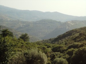 Landscape: layers of green hills