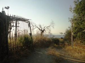 Broken gate