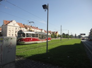 Red tram rolling through green grass