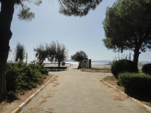 Closer to shore from under the pines