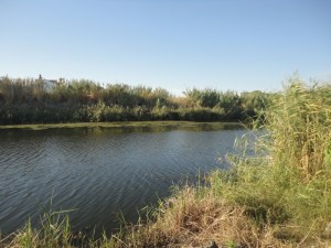 Grass on either side of a passage of water beneath a clear sky