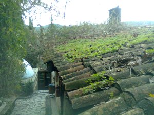 Passage downhill between green roof and hammam dome, tower in distance