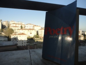 Poetry Past and Present against buildings in the sun