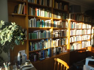 Bookshelves in the rising sun