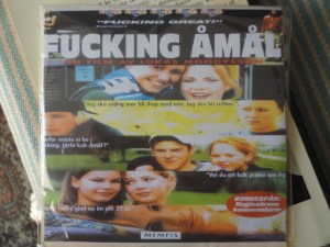 Cover of Fucking Åmål DVD: scenes of young faces