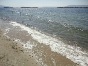 Sea sparkling beneath the sun