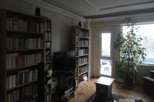 Bookshelves on one wall, window on another