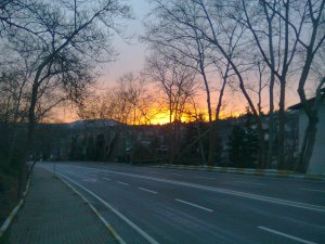 Orange sky seen through bare trees along an empty four-lane undivided road
