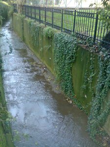 Deep concrete streambed, vines hanging down the side, rippling water filling most of the bottom