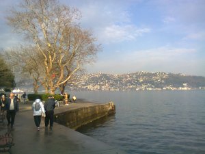 Man wrapped in towel stands under bare trees near a ladder down to the sea; other people walk past in their winter coats