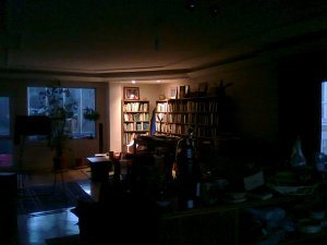 Illuminated bookshelves in the corner of a room; twilight comes through windows on either side