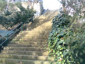 Stairway of solid blocks, lined with ivy and shrubs