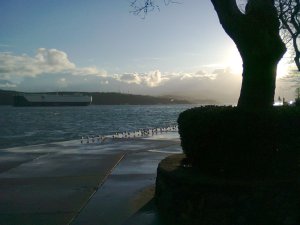 Gulls on a wharf as a tanker cruises by; sun rises from behind clouds into a clear sky
