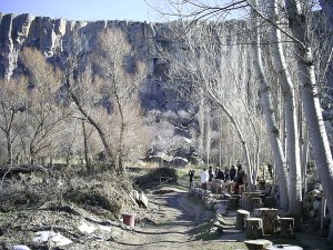 Tour group among bare trees