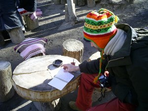 Somebody peruses a notebook beneath those trees