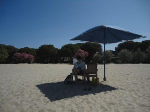 Figure in black hat, white beard, and bare legs sits on a chair, reading beneath an umbrella on an otherwise empty beach. Behind is a wall of spreading pine trees; in front of them, pink oleanders