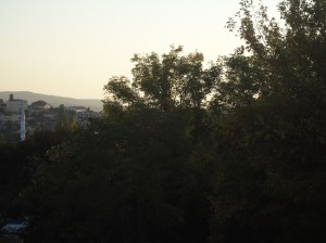 Dark trees against a pale sky. Beyond them on the left, a minaret against a hillside of houses and trees. Beyond that, one or two more hillsides