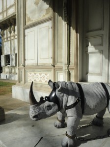 Figure of rhinoceros stands outside house