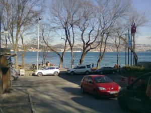 We face bare trees against the straight