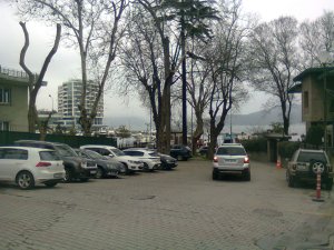 One car heads away, next to perpendicularly parked cars; beyond, bare trees and water