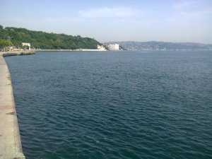 Wharf almost parallel to left edge. Then it curves around a building. and continues right. Halfway across, at the end of the trees, another building
