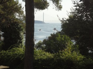 View through trees of two boats in the water