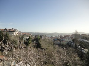 View down a shallow valley of trees and apartment buildings towards water and hills beyond; clear sky above