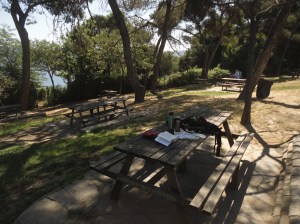 Book and paraphernalia lie on one picnic table among several. Two people sit at a table in the distance. The tables are partially shaded by trees, and a bit of sea is visible through other trees